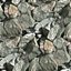 seamless rock